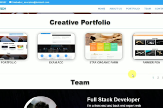 customize or create website by divi theme