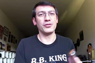 teach you to play harmonica