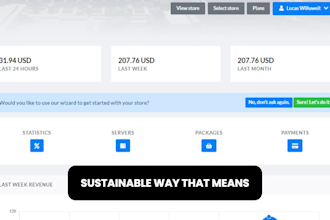 setup your professional and profitable minecraft server