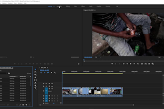 teach adobe premiere pro video editing professionally