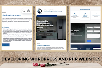 modern wordpress ecommerce and business website