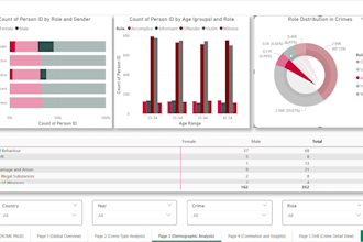 be your power bi expert