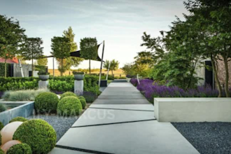 design backyard landscape garden pool patio 3d outdoor landscape rendering