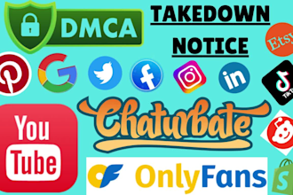 send dmca takedown notice tiktok,reddit,facebook,twitter,instagram,shopify,etsy