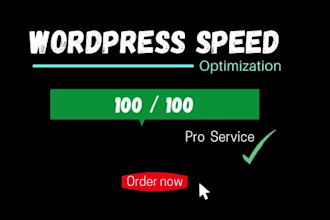 speed optimize your wordpress website