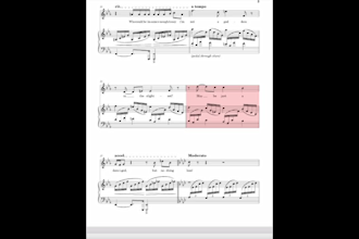 transcribe a song you wrote into sheet music