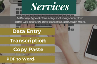 be your reliable data entry assistant