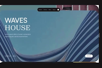 design expert wordpress shopify website dropshipping store