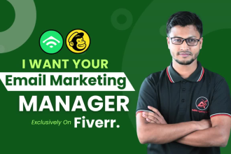 email marketing manager as a klaviyo and mailchimp expert for your business grow