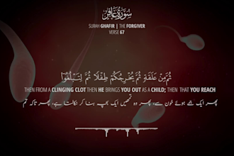design copyright free quran videos with any subtitle