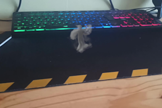 motion track your video