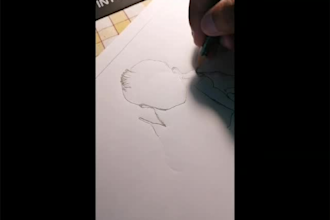 do create the perfect pencil sketch of your picture