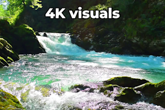 create viral professional youtube videos for any niche