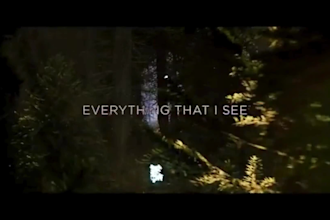 do amazing kinetic typography video animation, motion graphic design,logo design