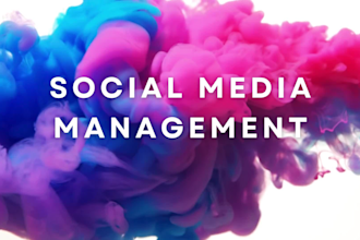 create social media management and content creator
