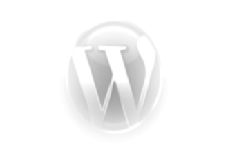 fix your wordpress problem fast and professional