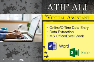 be your professional virtual assistant
