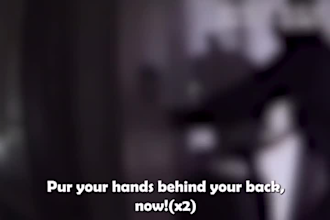 sync and add professional subtitles to your videos