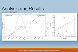 do economic analyses and reports