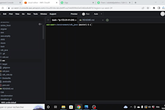 be your aws cdk expert using python, typescript and java