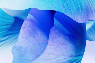 do 3d flower animation simulation, 3d flower rendering, 3d plant sculpting