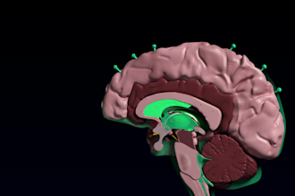 do 3d biological or medical animation and modeling