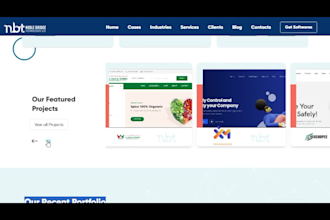 design web animation and advanced CSS for your website