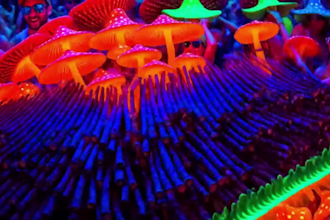 create trippy psychedelic ai animated glitchy lyric and music video