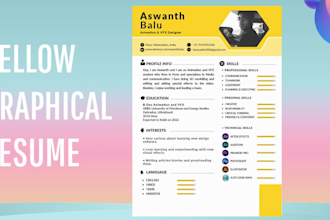 make awesome graphical CV resume