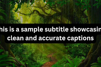 add professional subtitles, captions and srt files to your videos