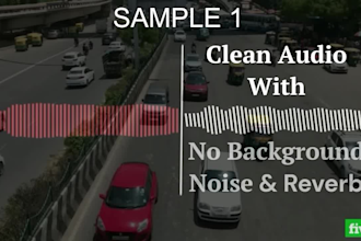 remove background noise and echo from videos