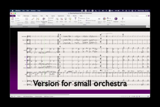 do orchestral transcribing or arrangement of your song tune