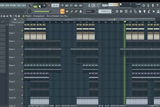 make a edm remix of your edm song or you acapella