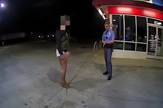 do true crime documenataries bodycam videos like dr insanity