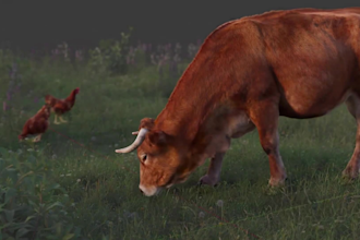 create quality 3d animal animation, 3d cgi animal animation, 3d animal rigging
