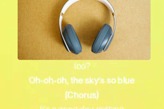be your male singer, vocalist, pop, heavy song country singer, metal singer