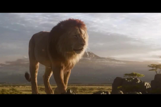 do realistic 3d animal animation, 3d model, 3d texture, groom, hair, fur