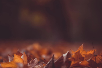 arrange your song for piano with sheet music