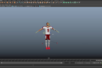 do rigging for you in blender and maya
