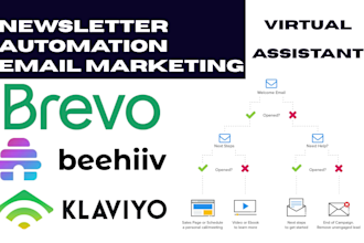 design beehiiv newsletter brevo email marketing campaigns klaviyo automation va