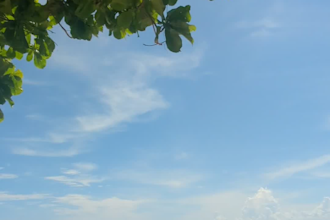 help you curate your costa rican wedding or honeymoon