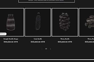 hair extension hair extension store hair website  shopify dropshipping