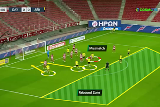 create a professional analysis for your team