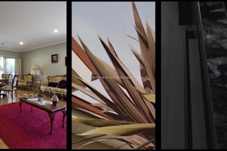 professional real estate video editing with quick turnaround