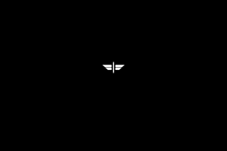 create clean and moddern 2d logo animation fast