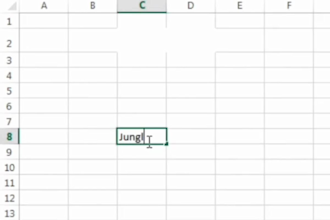 create custom excel spreadsheet complex project in excel and budget tracker shee