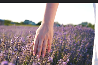 create a book trailer, cinematic trailer  for book promotion