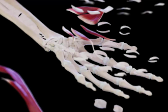 do high quality 3d medical animation video and modeling