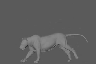 do realistic 3d animal model 3d animal animation 3d rigging vfx xgen hair fur