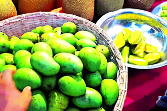 record relaxing full HD walking street food videos from real local market